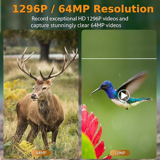 2-Pack Game & Trail Camera, 64MP 1296P H.264 MP4 Video Cam with 940nm No Glow Night Vision Motion Activated IP66 Waterproof for Outdoor Wildlife Monitoring, Yard Security, Animal Observation
