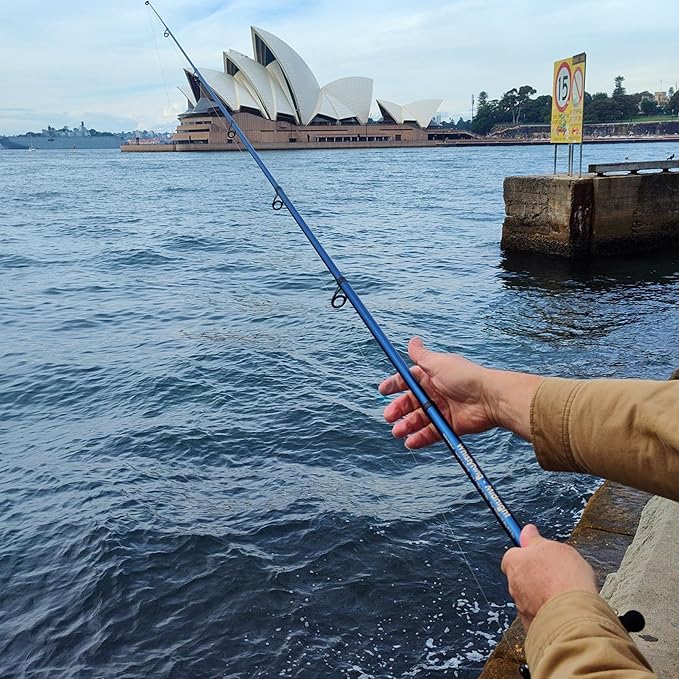 Whistytwig Telescopic Fishing Rod - Versatile Retractable Telescoping Fishing Pole, Collapsible Fishing Rod, Ideal Travel Rod