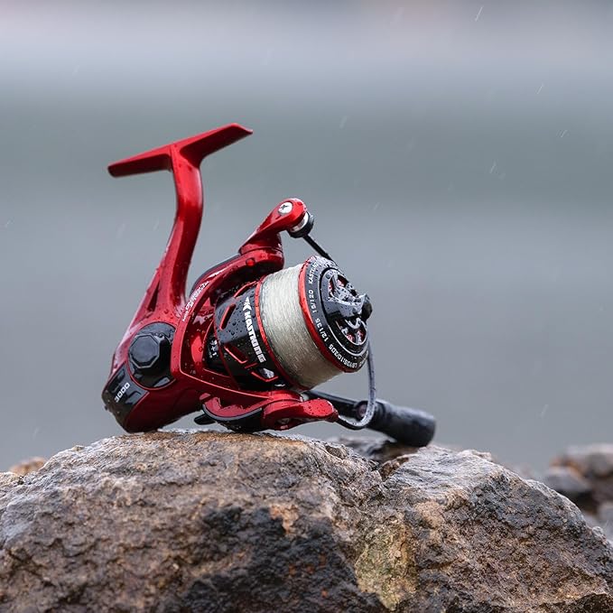 KastKing Royale Legend Fishing Reel - 5.2:1/6.2:1 Gear Ratio Spinning Reel, Up to 22 Lbs of Carbon Drag, 5+1/7+1 Stainless Steel Ball Bearings, Graphite Frame, Asymmetric Spinning Reel Rotor Design