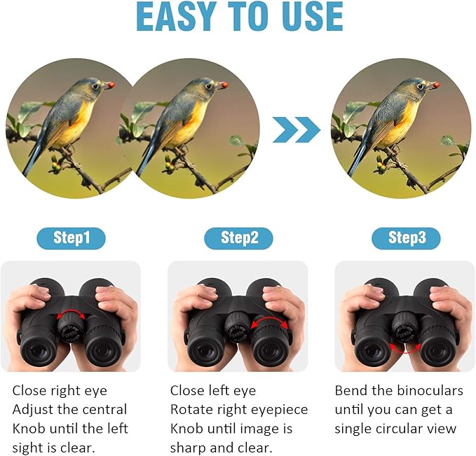 10x42 Binoculars for Adults - Professional HD Roof BAK4 Prism Lens Binoculars for Bird Watching, Hunting, Travel, Sports, Cruise, Concert, with Carrying Bag