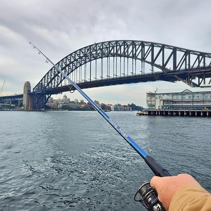 Whistytwig Telescopic Fishing Rod - Versatile Retractable Telescoping Fishing Pole, Collapsible Fishing Rod, Ideal Travel Rod
