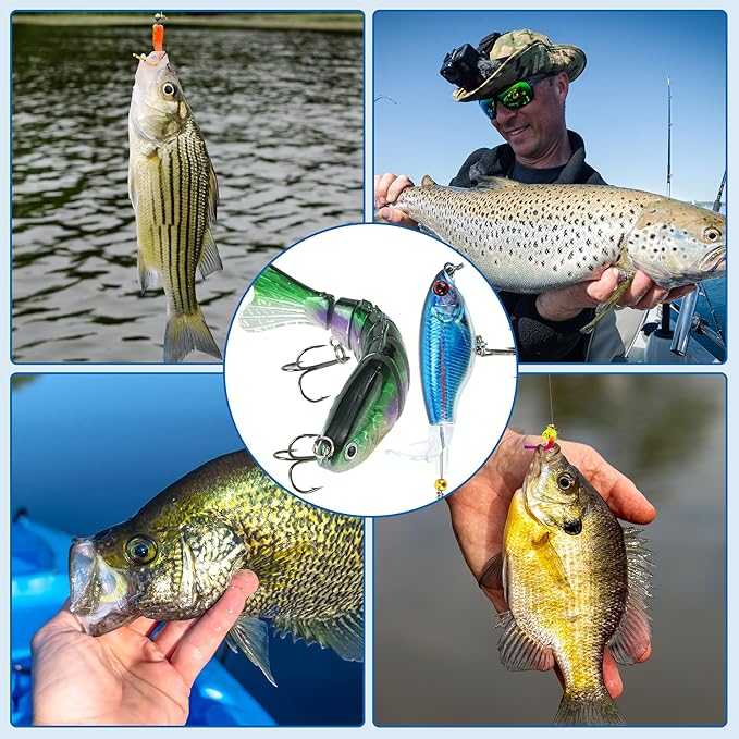 Fishing Lures Tackle Box Kit,Saltwater Freshwater Fishing Gear and Equipment,Including Bionic Swimbait,Top Water baits,Soft Plastic Baits, Accessories etc for Bass,Trout, Salmon.