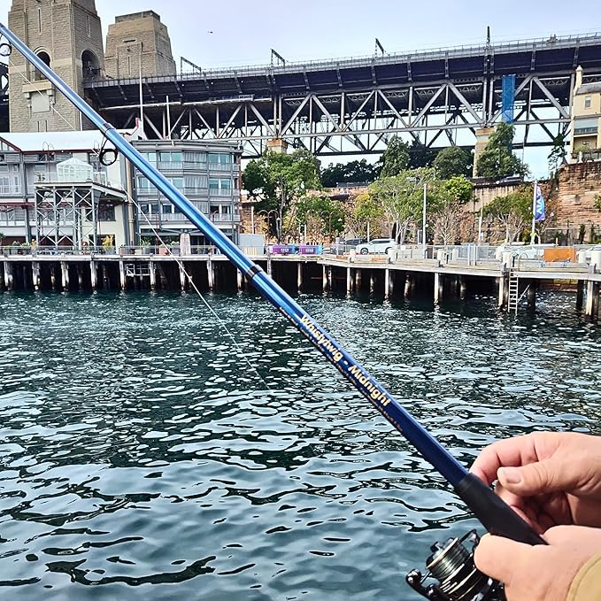 Whistytwig Telescopic Fishing Rod - Versatile Retractable Telescoping Fishing Pole, Collapsible Fishing Rod, Ideal Travel Rod